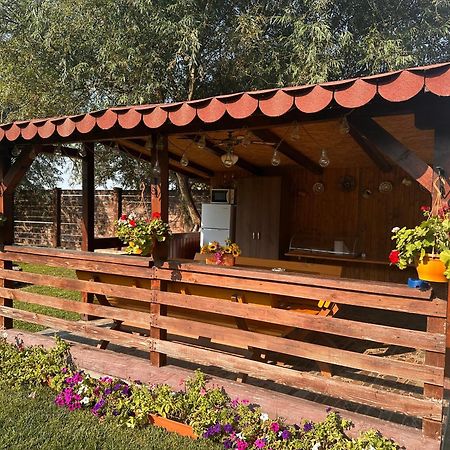 Casa Carp Calarasi Hotel ภายนอก รูปภาพ