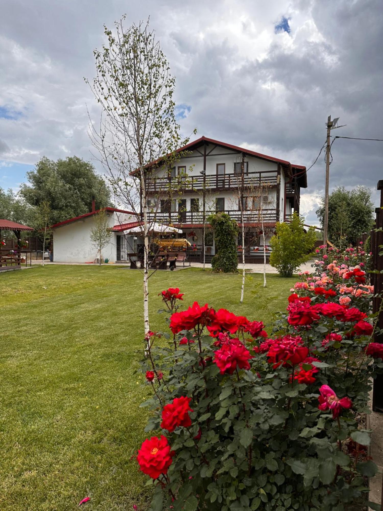Casa Carp Calarasi Hotel ภายนอก รูปภาพ
